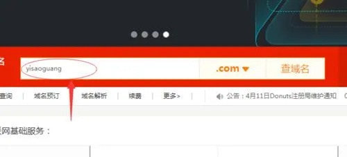 域名验证问题详解，在线解决策略与紧急应对措施