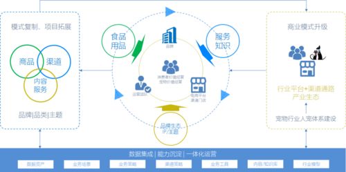 雪花科技的创变之旅，引领数字化智能化的创新路径