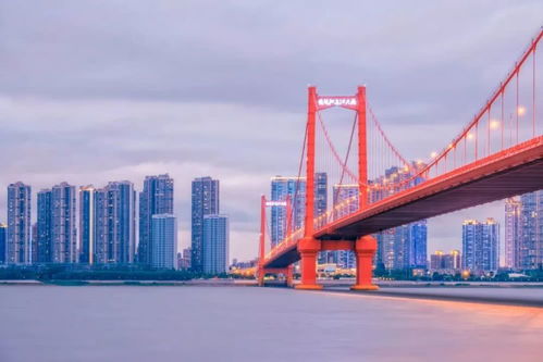 西部渠道，架起东西经济桥梁的金色纽带