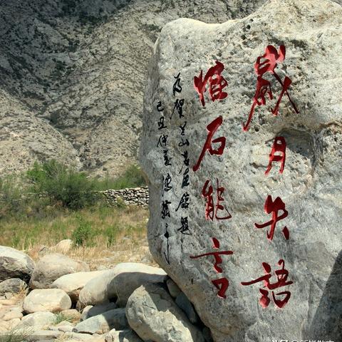 原始人与网络的奇妙交织，探索网络时代的原始情感与连接