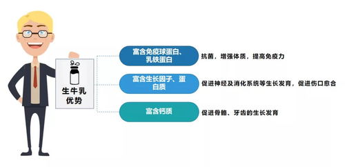 探索独立域名的魅力，为何值得购买及如何挑选