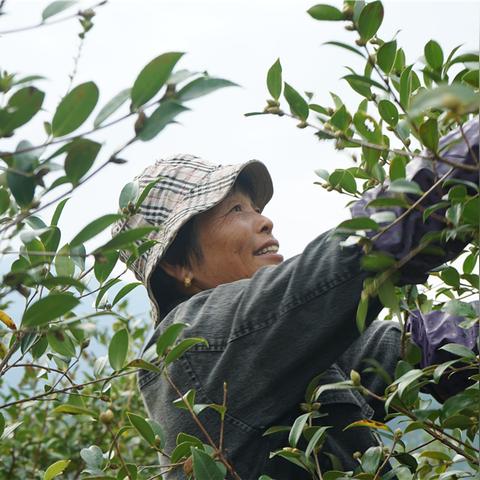 探索网林网络，在数字时代下的影响与未来发展趋势