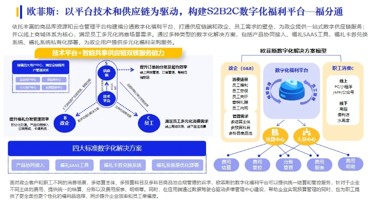 东邦互联，重塑区域合作的数字桥梁