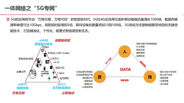 泰网互联，重塑数字时代的信息版图