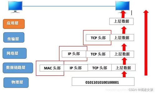 IP地址与域名之间的关系，互联网寻址的奥秘