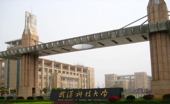 武汉科技大学网站域名持有者揭秘，学术与科技的交汇点
