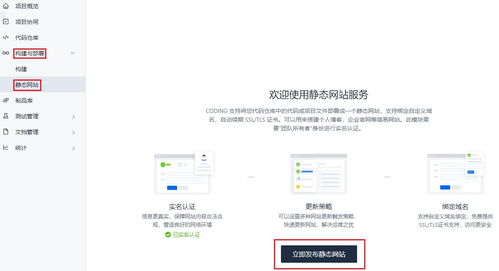 如何自己搭建网站，从域名注册到空间配置的全流程指南