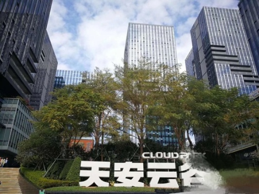 广州天际网络，筑梦未来的智能云梯