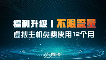 在51美国主机网上探索云时代的无限可能