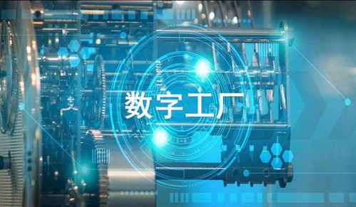 红网互联，重塑数字时代的沟通桥梁
