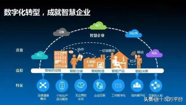 西部数码创业型云主机续费，助力企业数字化转型的坚实后盾