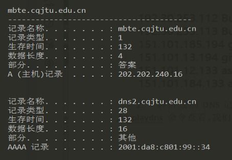 如何查看设置的域名对应的NS（名称服务器）