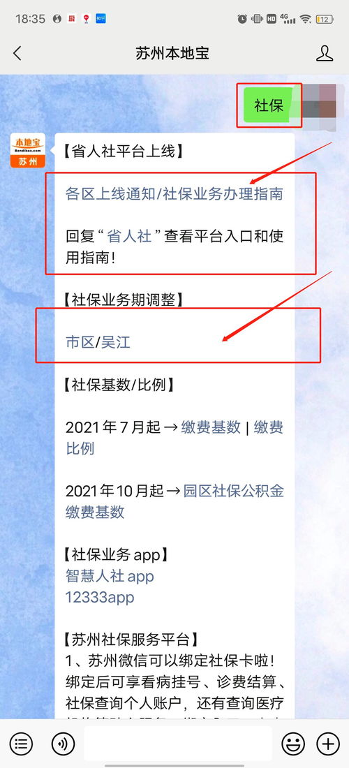 网站刚上线即遭拦截，换域名亦无解，深度剖析与解决方案