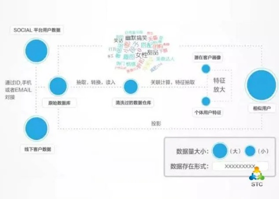 志航数据，引领数字时代的个性化数据服务创新