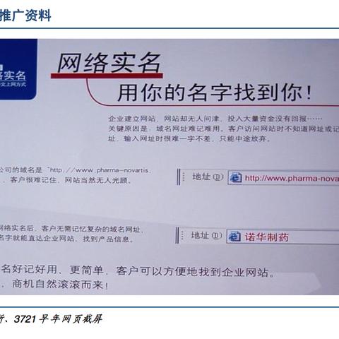 域名申请后，解锁无限可能的数字门户