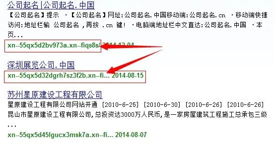 事业单位中文域名名称是什么，探索与解析