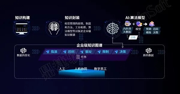 瑞驰网络，塑造数字化时代的企业创新与变革
