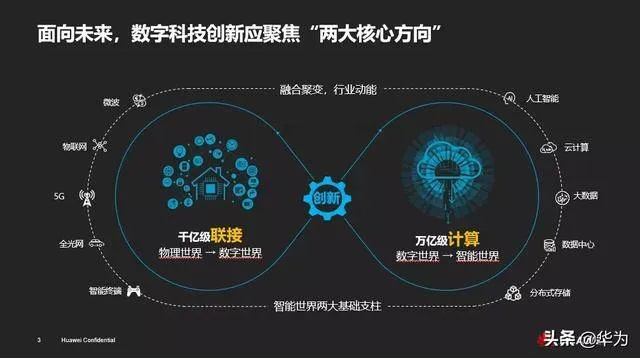 网希科技引领未来，探索数字时代的数字化解决方案