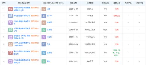 网站域名要到期了，一场关于工作交接与管理的数字迷局