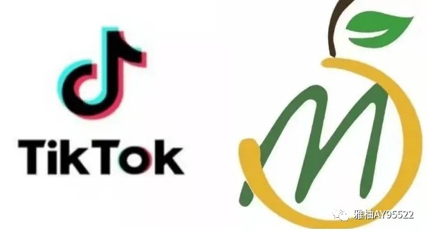 TK域名，一个独特而富有历史意义的国际域名后缀