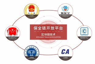 网域互联，重塑数字时代的连接方式