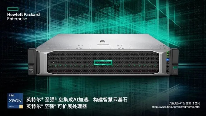 数字化时代下的Host263主机，探索其无限潜力与未来趋势