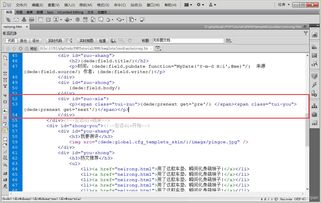 企业域名的范本格式，构建专业网络形象的基石