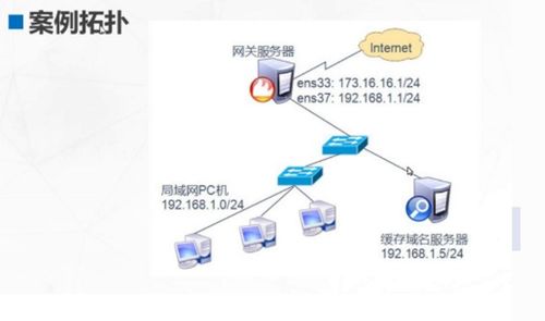 CERNET教育网下的DNS域名服务器，安全、效率与管理的深度解析