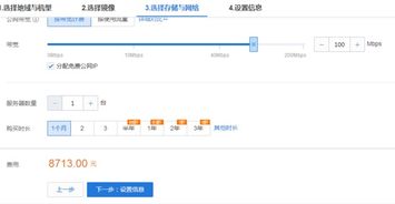 服务器租用100M，解析、选择与应用