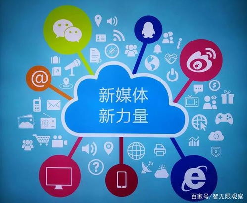 人类的新大陆，探索雨石互联的无限可能