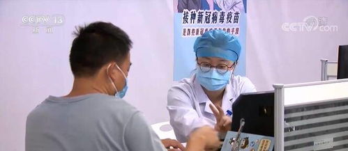 探索双速主机，技术、应用与发展趋势的全面解析