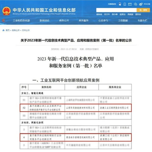 独特案例解析，为何唯独一个网站域名出现错误？