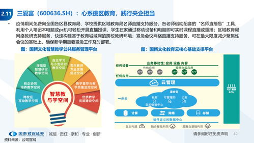 探索免费域名与空间，构建广告平台的可能性与限制