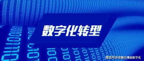 七普云主机，引领数字化时代的普查新篇章