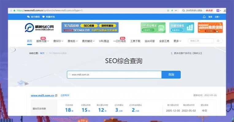 域名加WWW和不加WWW对SEO的影响，深入解析