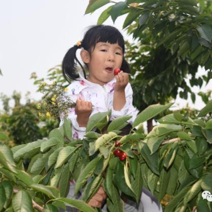 云端微光，探索微光云在现代生活中的无限可能