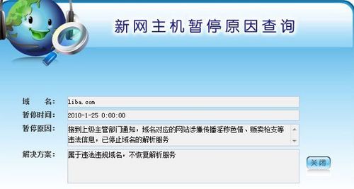 新网域名解析速度实测，速度与稳定性并重，打造高效网络体验