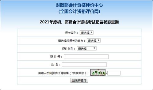 如何查询中文域名的自然流量
