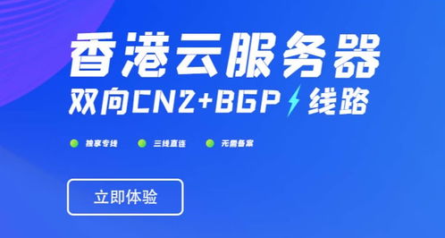 香港服务器可以购买吗？多少钱一个月？