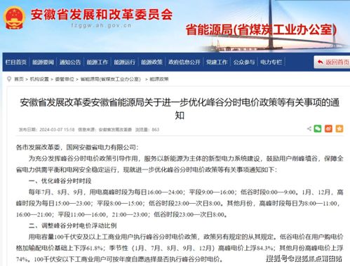 网站域名费怎么交，全面指南与注意事项