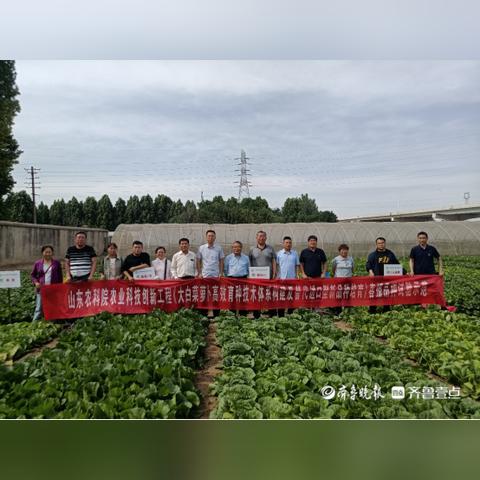 挖掘萝卜数据的奥秘，揭示神奇蔬菜背后的科技力量