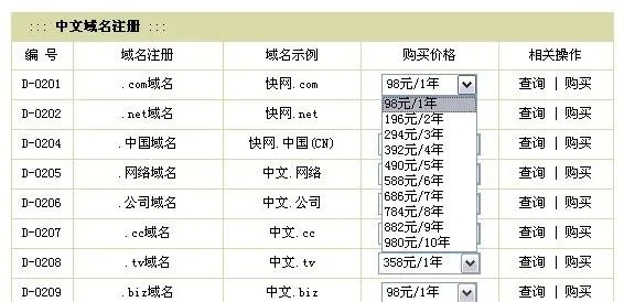 广本网络中文域名卖了多少钱，一场域名交易的深度剖析