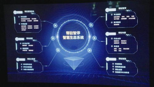166数据互联，解锁数字时代的新篇章，构建智慧生活的新生态