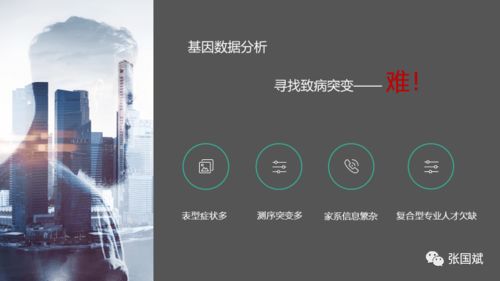 思派尔数据，解锁大数据分析新时代的钥匙