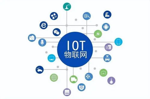 六三网络，引领未来的数字生活新风尚