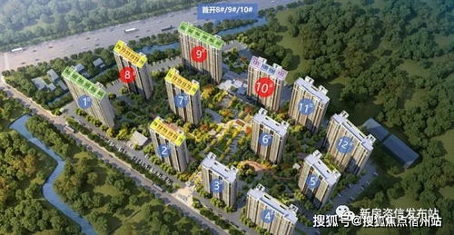 泳欣网络，塑造未来数字生活的新模式