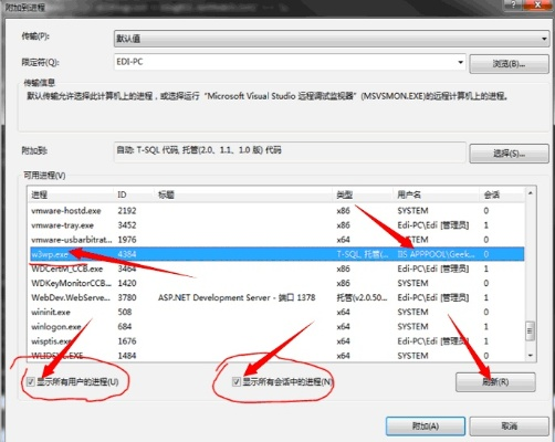 在本地IIS上搭建网站并对外访问的详细指南