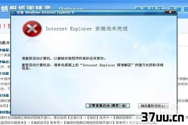GhostXP重装IE8后无法解析域名，请大虾指点