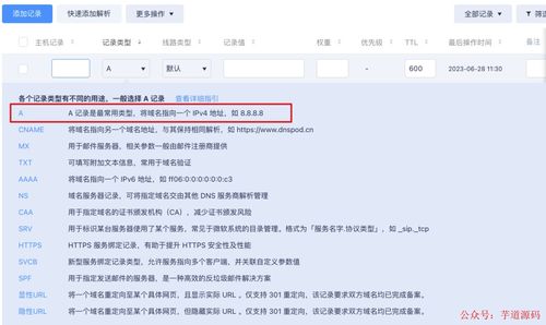 探索目录访问新途径，从9292IP到DNS解析的域名访问