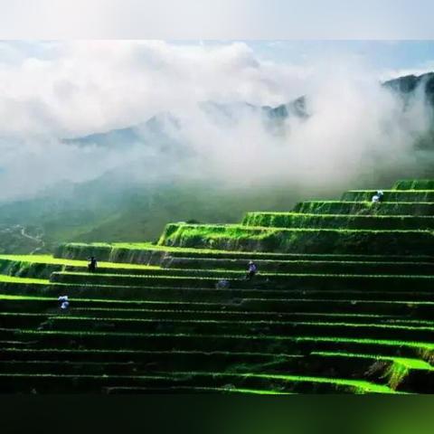 傲翔云，启迪未来，一场云端革命正席卷而来